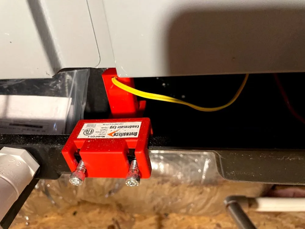 Slide of Einstein Cooling Vegas