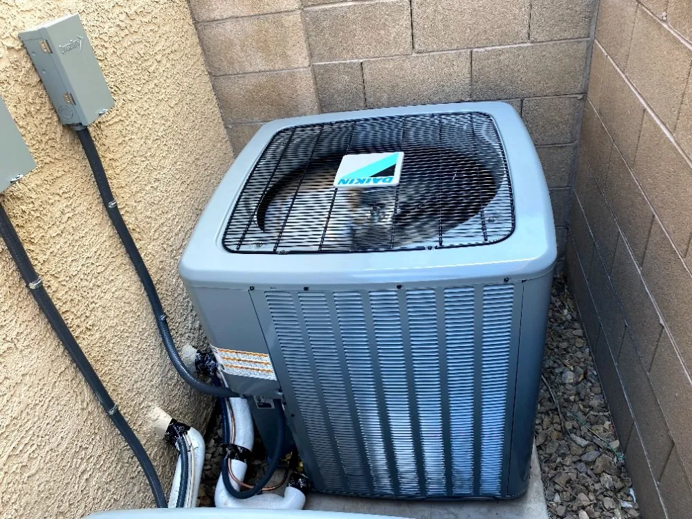 Slide of Einstein Cooling Vegas