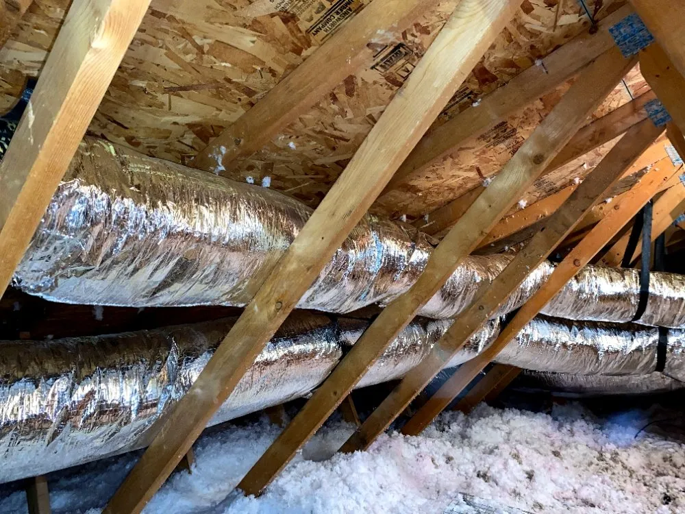 Slide of Einstein Cooling Vegas