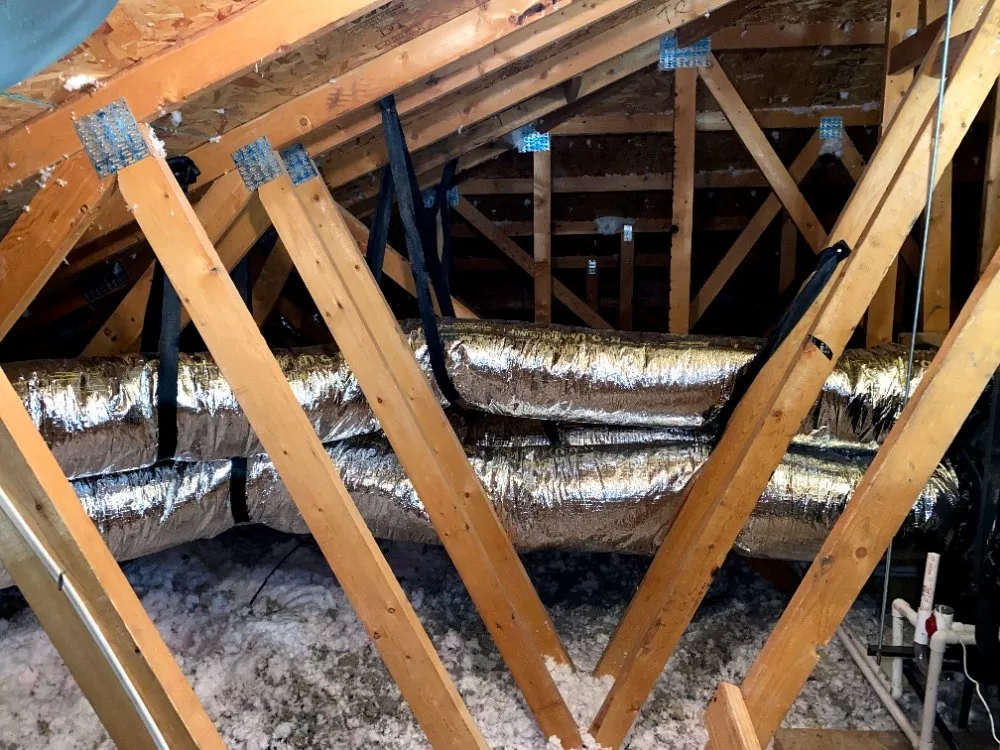 Slide of Einstein Cooling Vegas