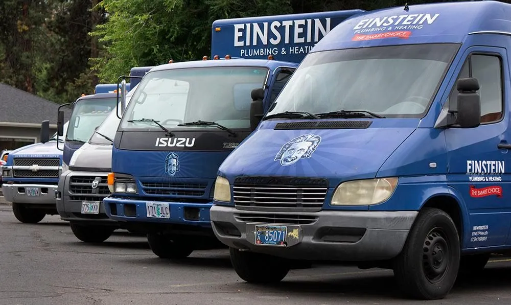 Slide of Einstein Pros