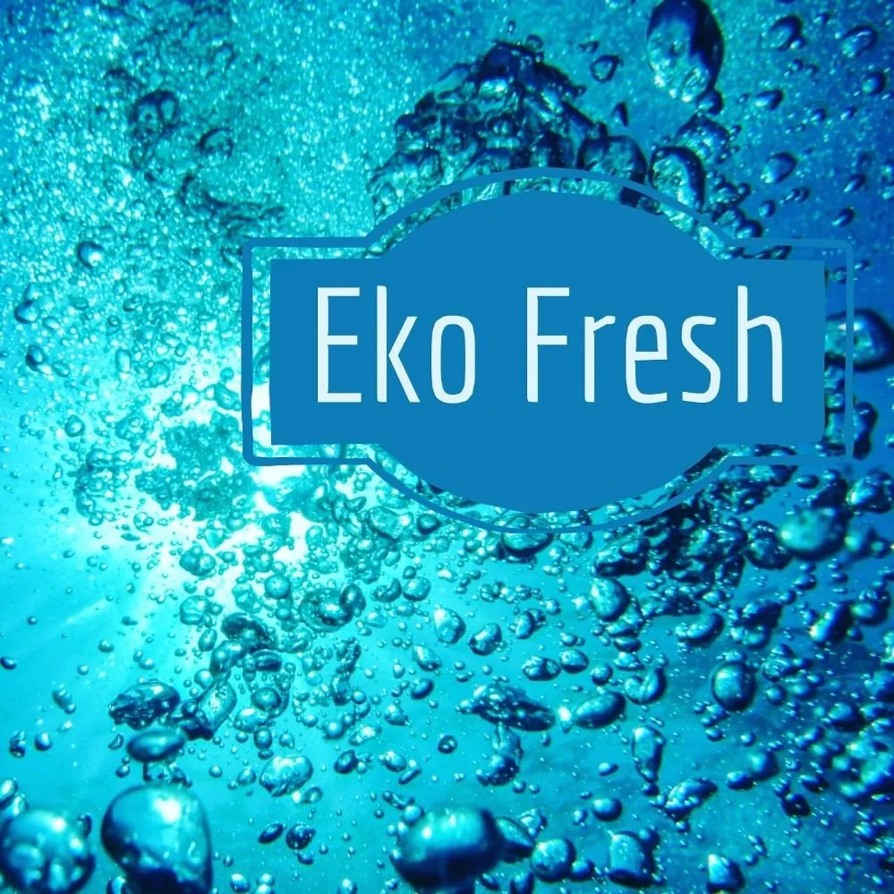 Slide of Eko Fresh