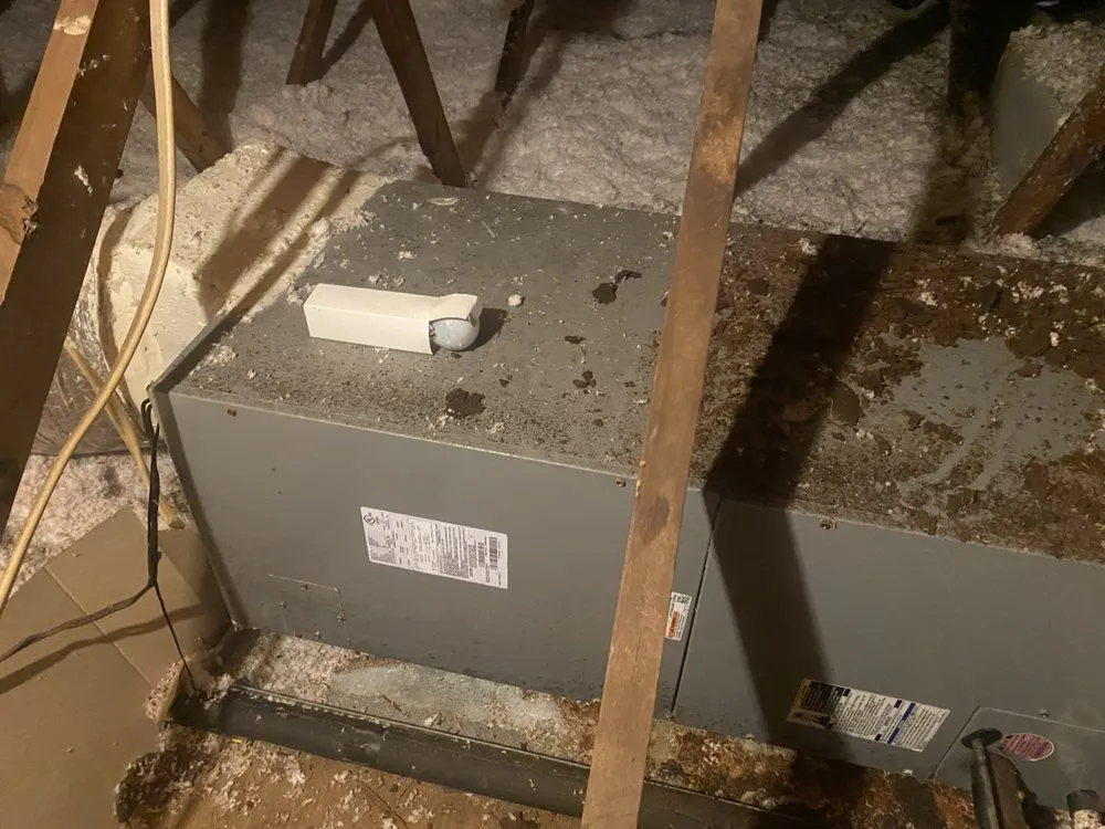 Slide of Ekstensive Maintenance