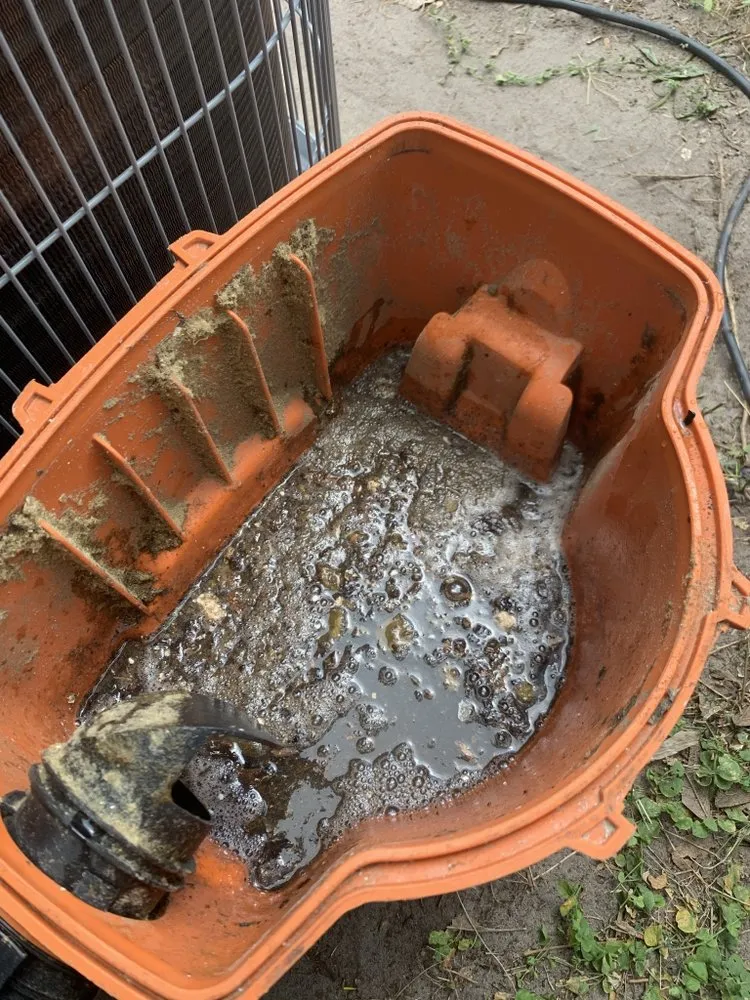 Slide of El Technico