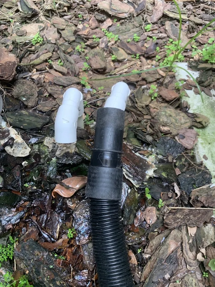 Slide of El Technico