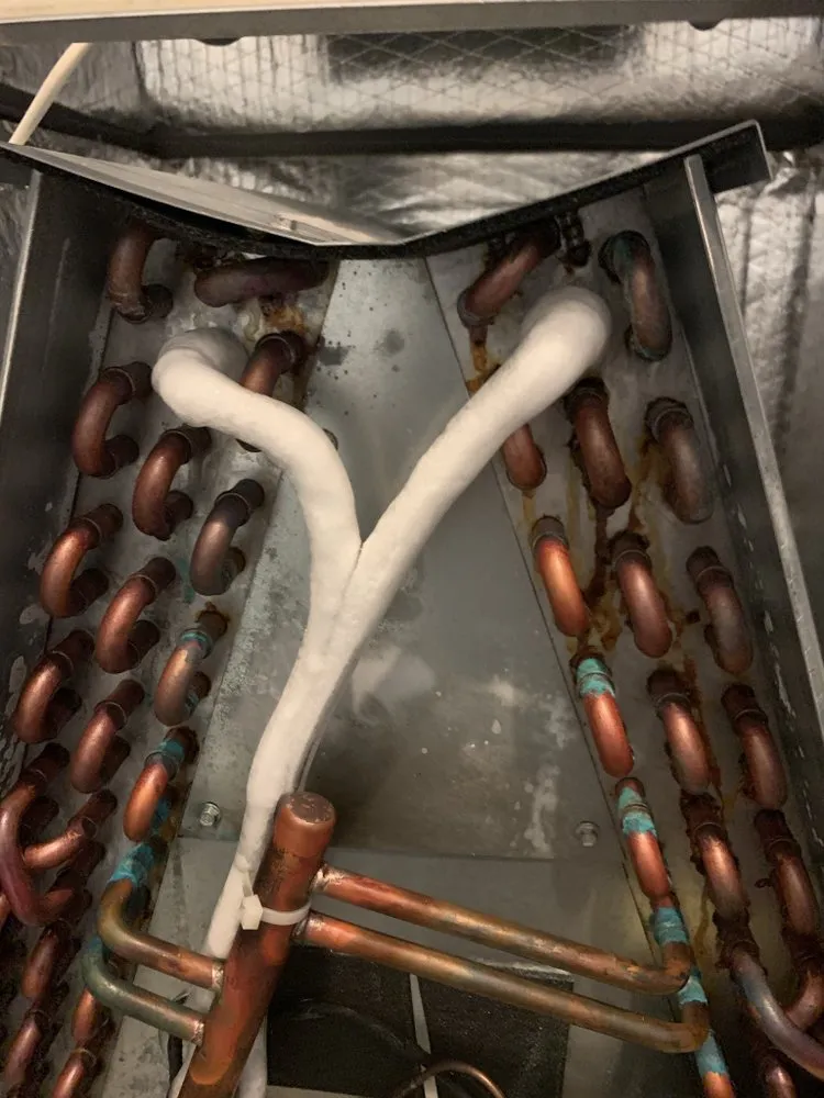 Slide of El Technico