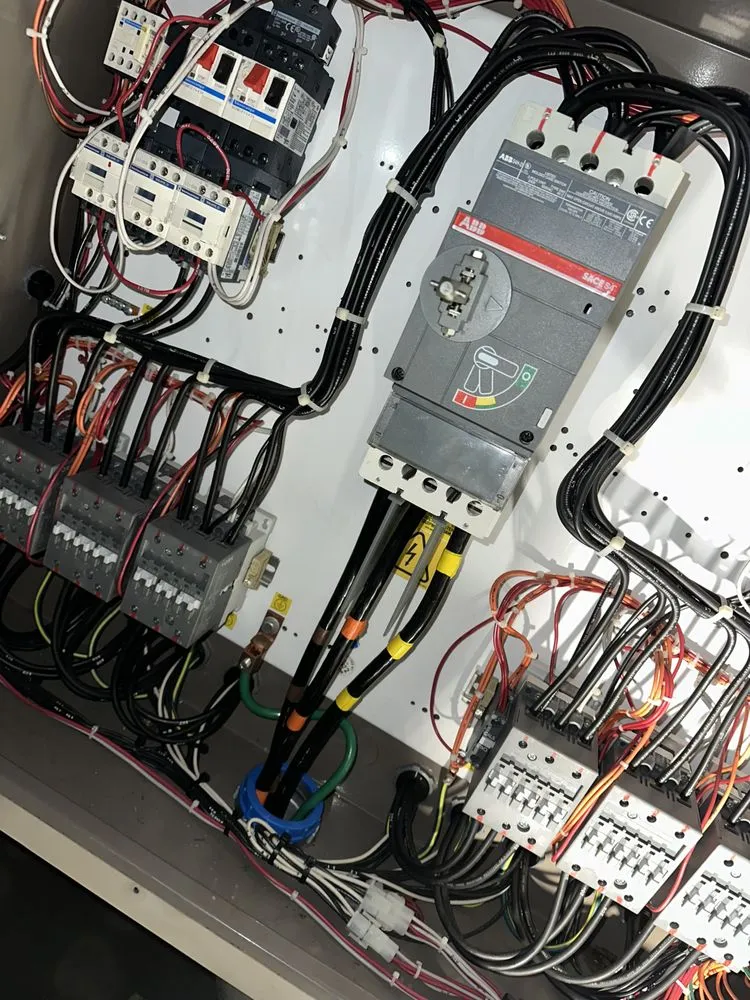 Slide of Electric Brothers