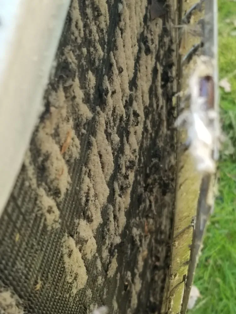 Slide of Electric Doctors