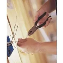 Slide of Electric Guy