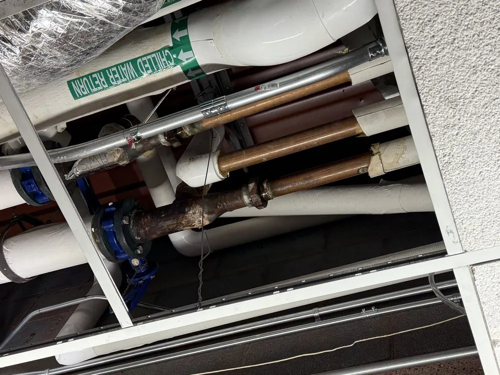 Slide of Element 79 Mechanical