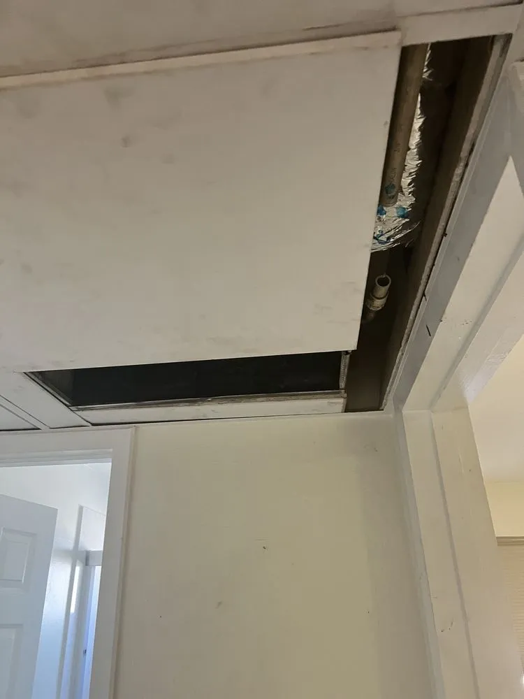 Slide of Elephant Air