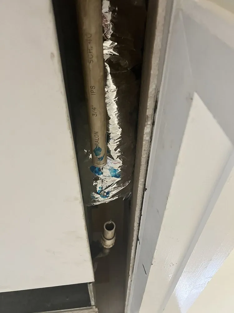 Slide of Elephant Air