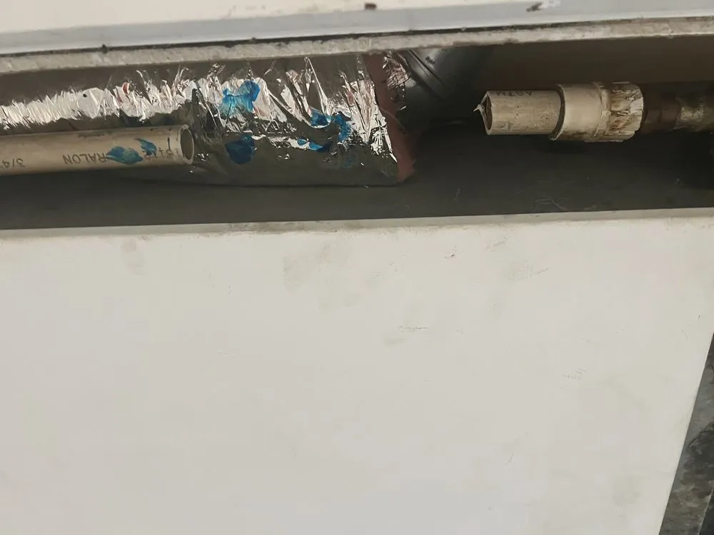 Slide of Elephant Air