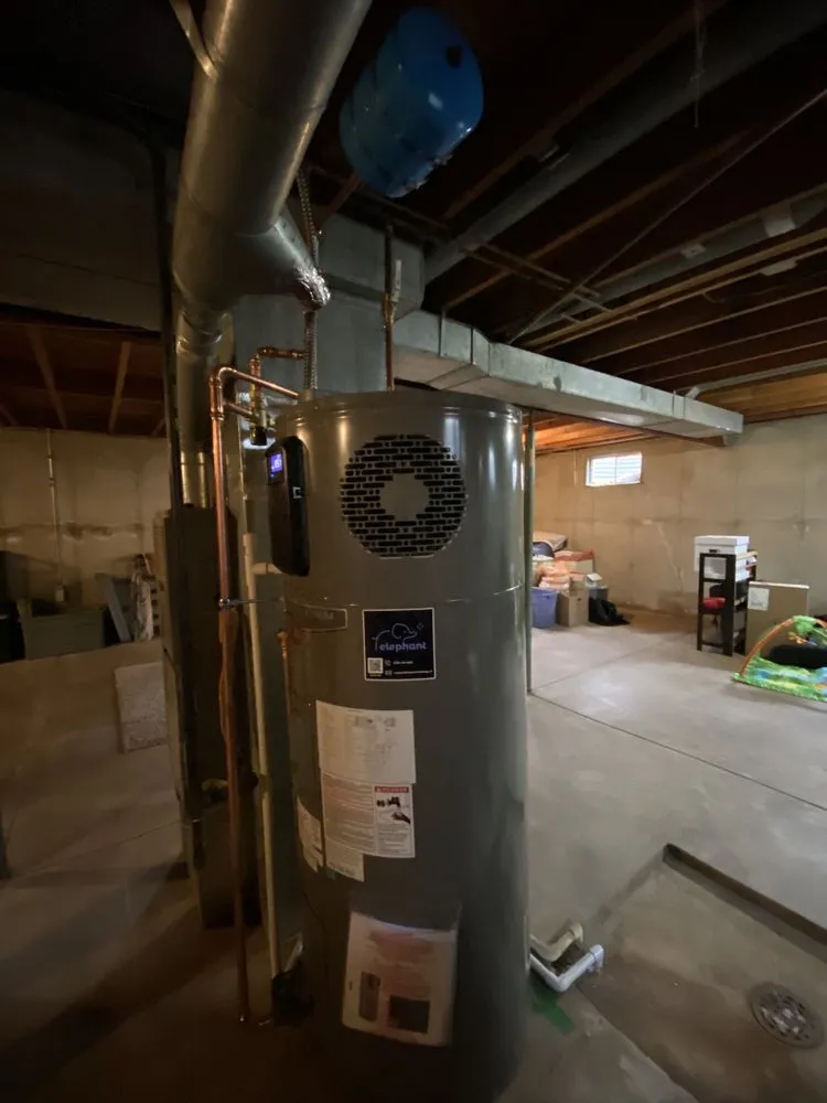 Slide of Elephant Energy