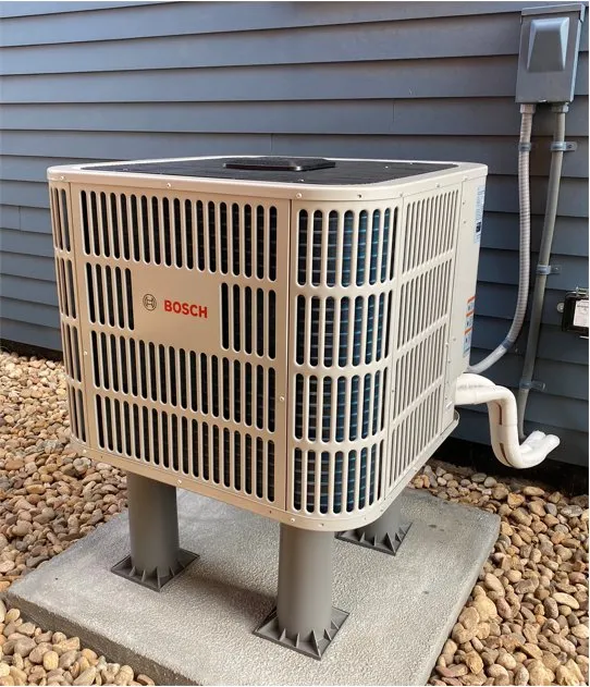 Slide of Elephant Energy