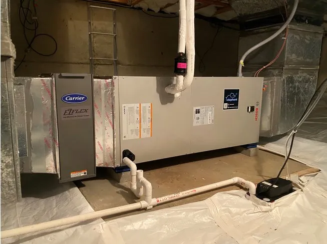 Slide of Elephant Energy