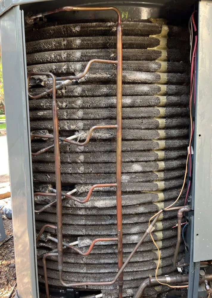 Slide of Elevated Solutions Team