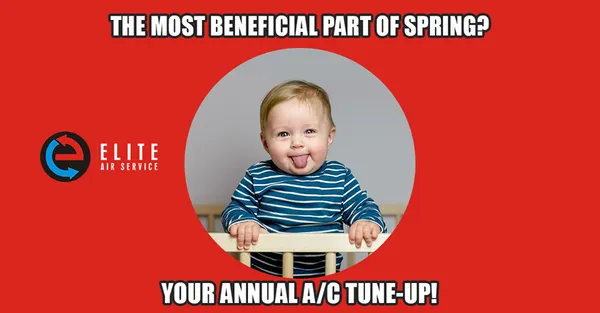 Elite Air Service Logo