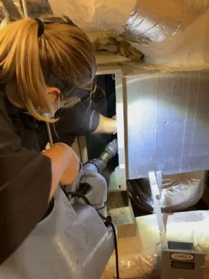 Elite American Home Services Logo