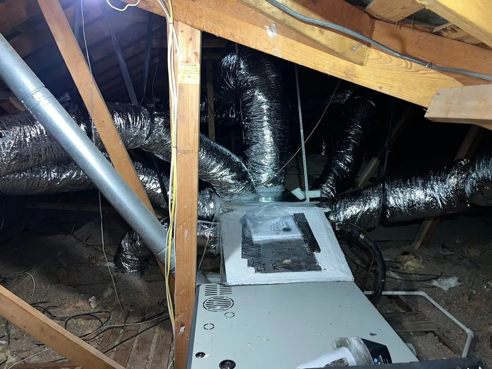 Slide of Elite Attic Masters