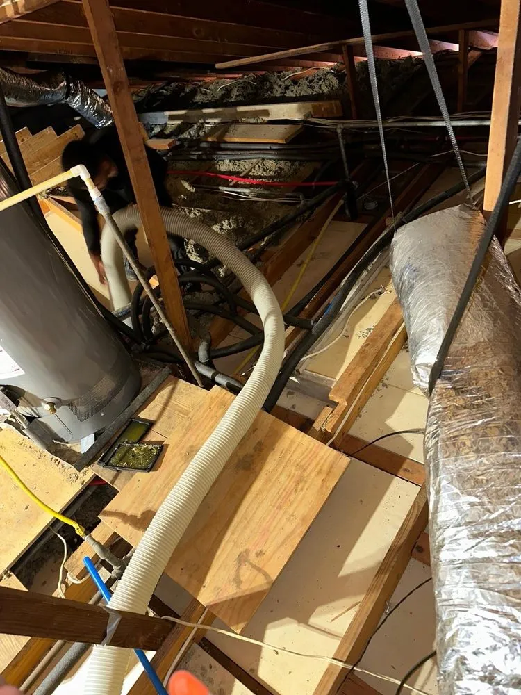 Slide of Elite Attic Masters