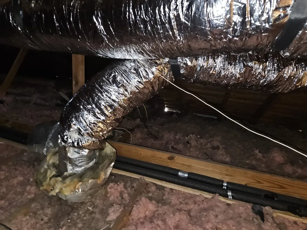 Slide of Elite Attic Masters