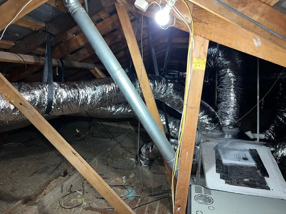 Slide of Elite Attic Masters