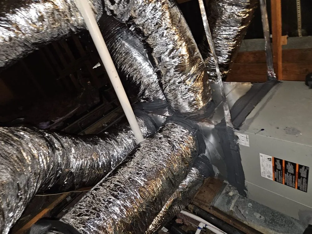 Slide of Elite Attic Masters