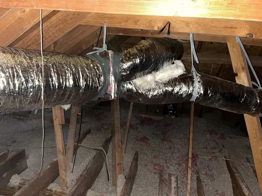 Slide of Elite Attic Masters