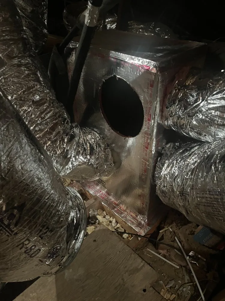 Slide of Elite Clean & Restoration