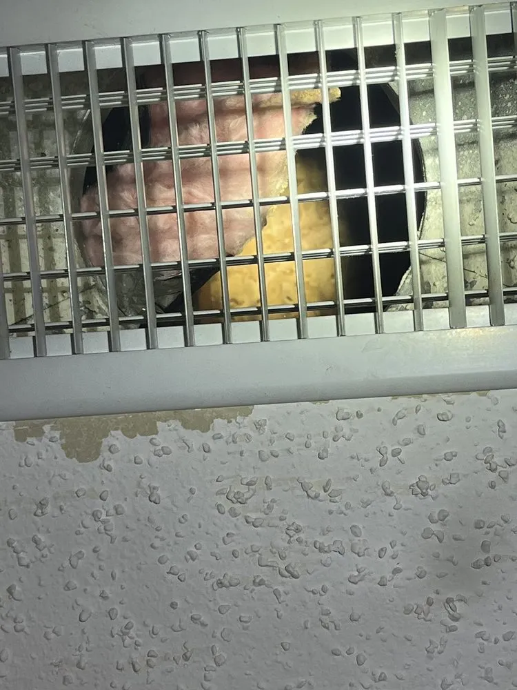 Slide of Elite Clean & Restoration