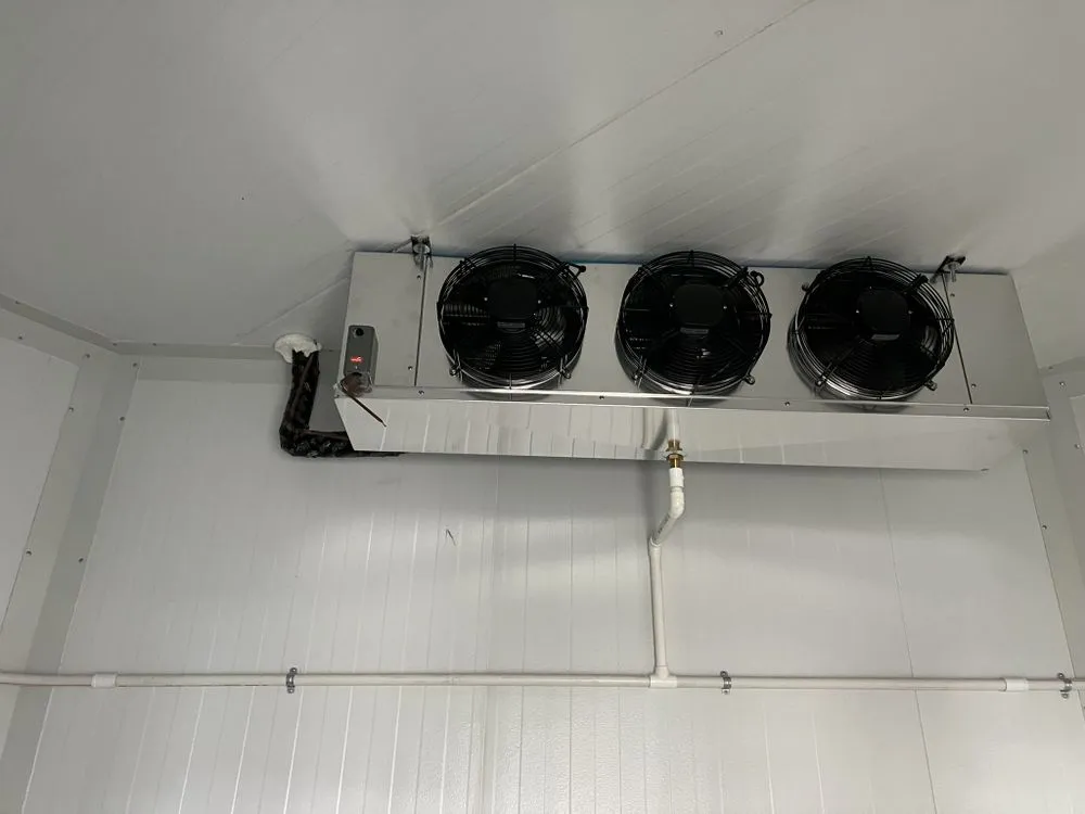 Slide of Elite Gonzalez Services