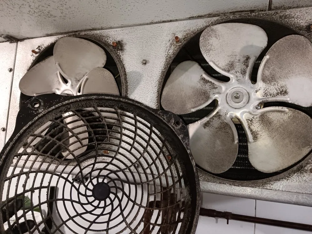 Slide of Elite Temp Control