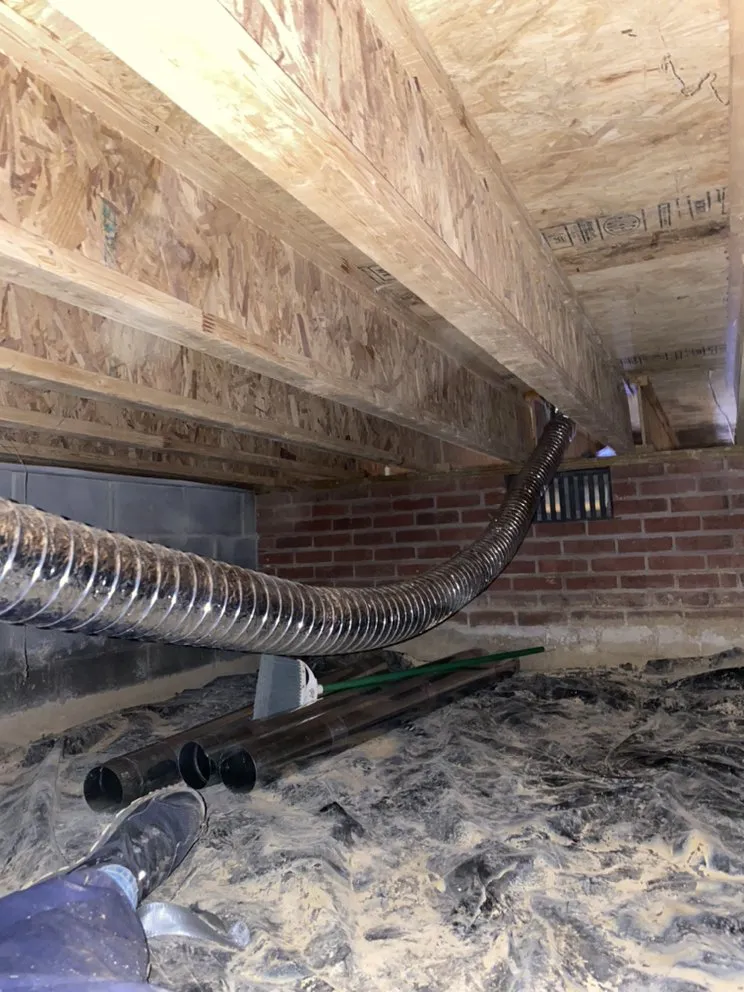 Slide of Elite Vents