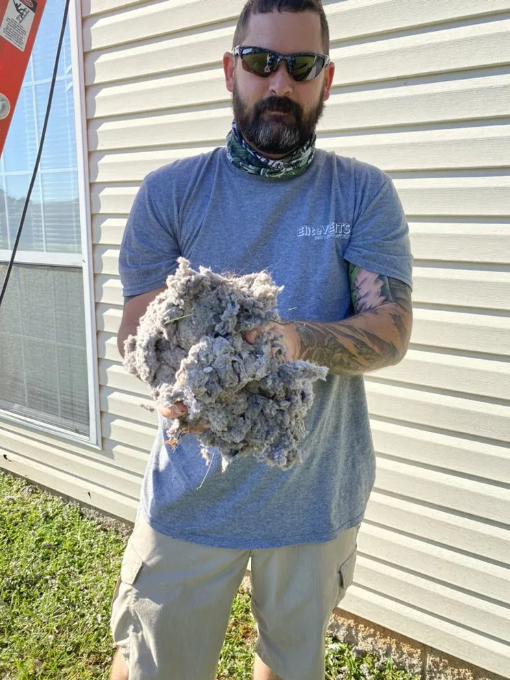 Slide of Elite Vents