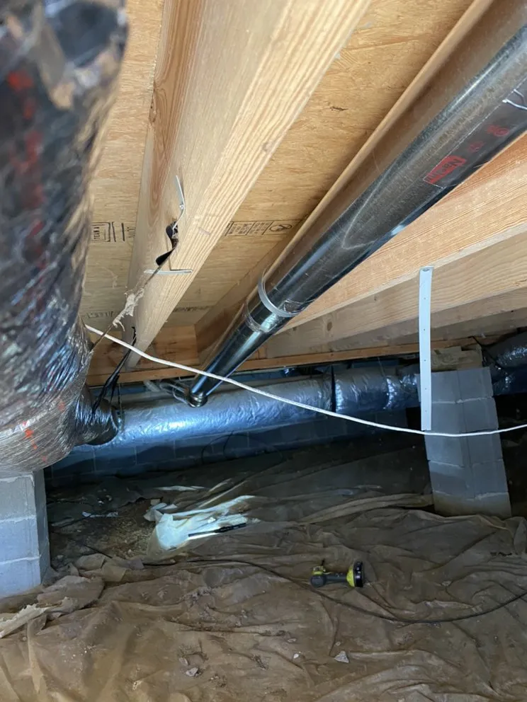 Slide of Elite Vents