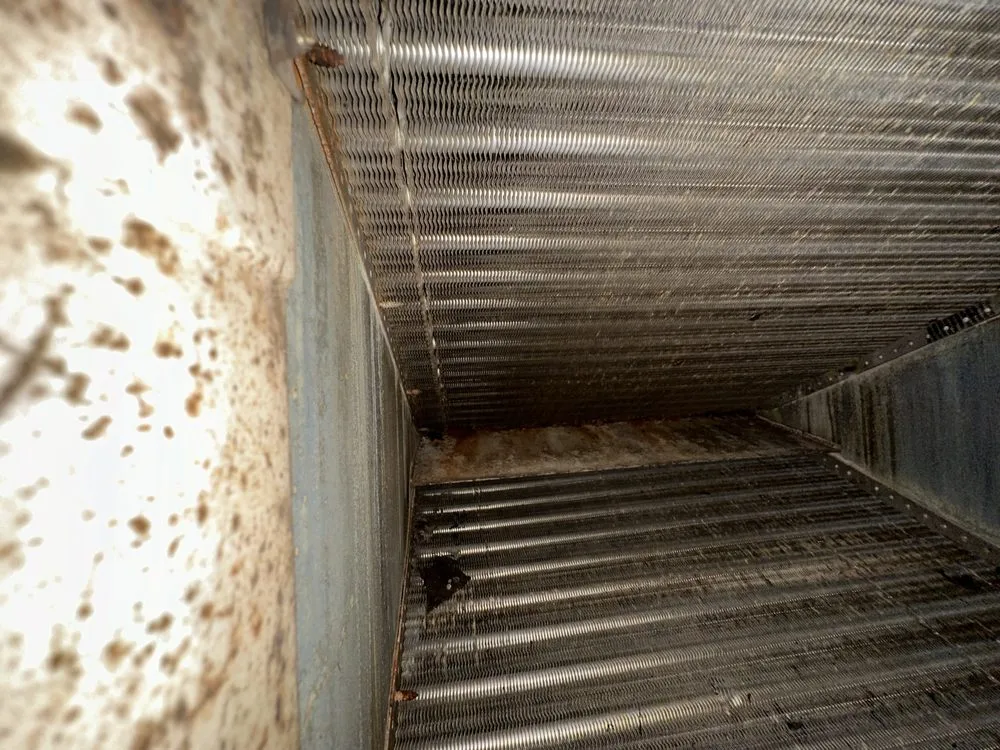 Slide of Elite Vents