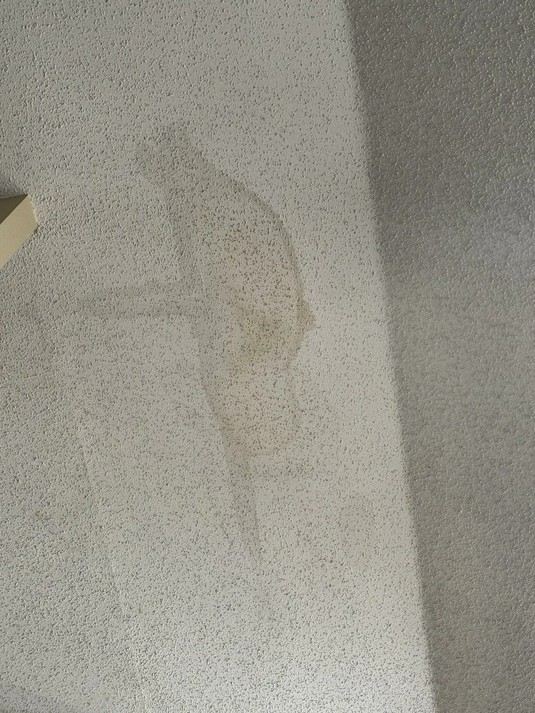 Slide of Elmer's Home Services DFW