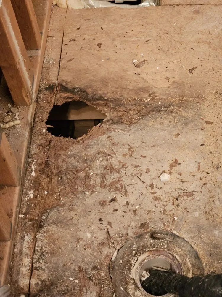 Slide of Elmer's Home Services