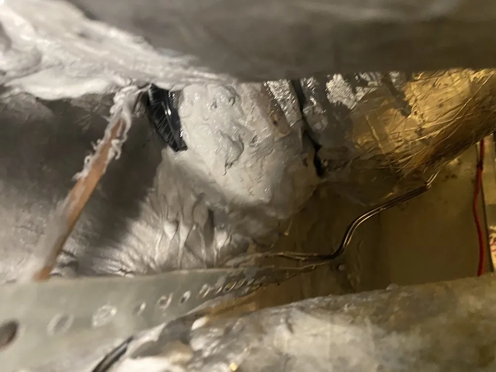 Slide of Elmer's Home Services