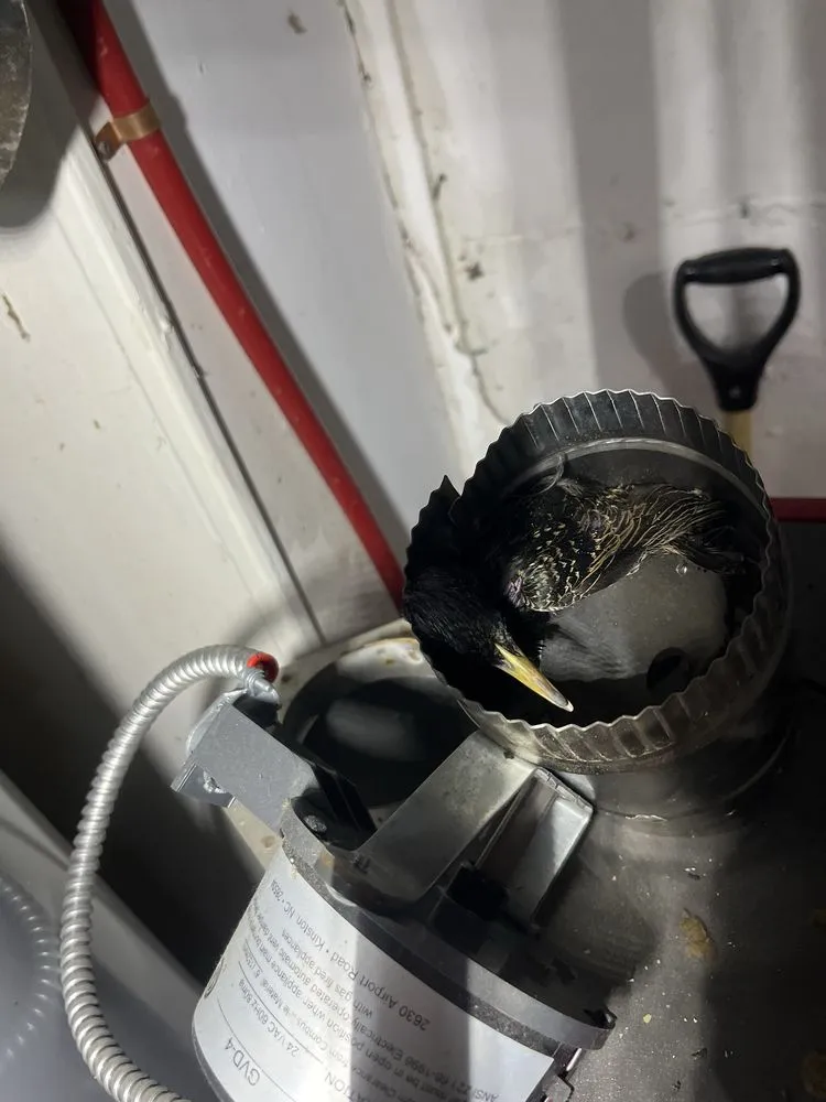 Slide of Elmhurst Plumbing Heating and Cooling