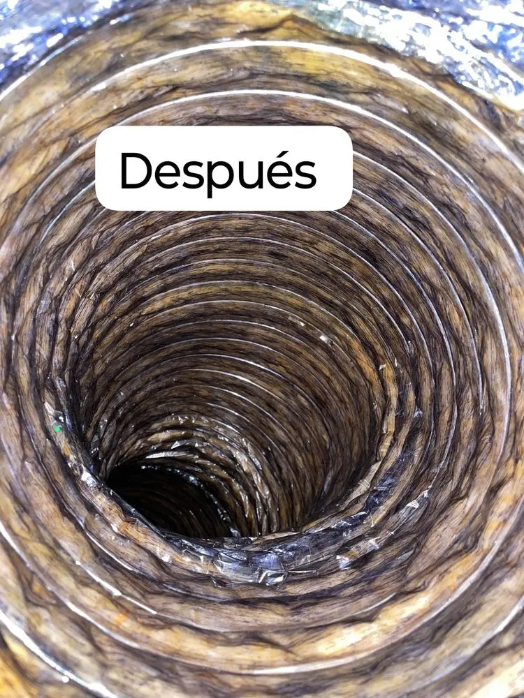 Slide of Elohim Fresh Air