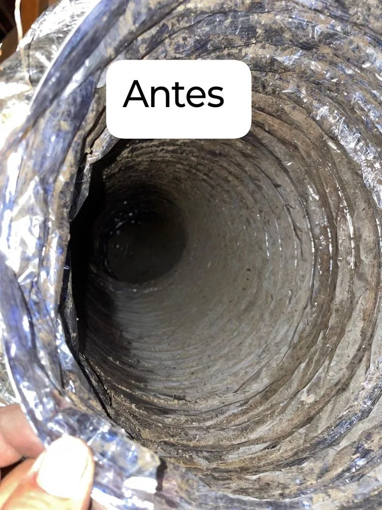 Slide of Elohim Fresh Air