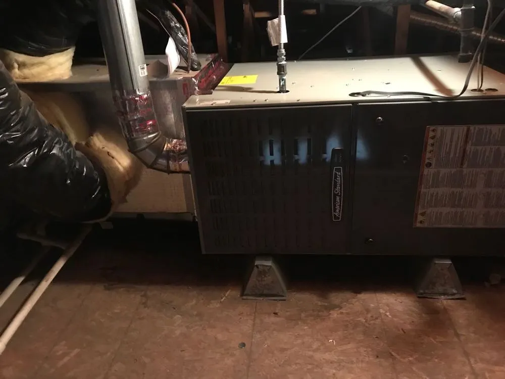 Slide of Elvira Ocean Air