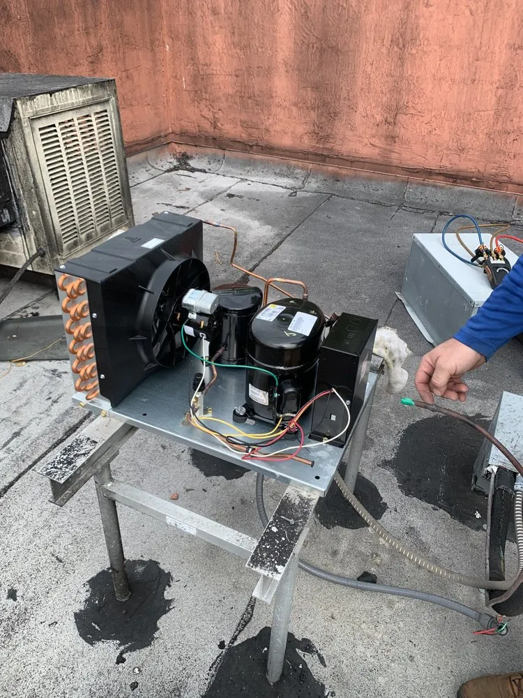 Slide of Emerald Ostel Mechanical