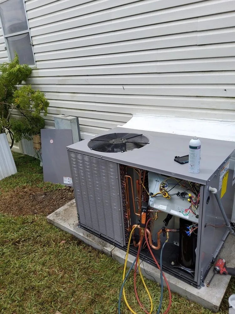 Slide of Emerald Ostel Mechanical