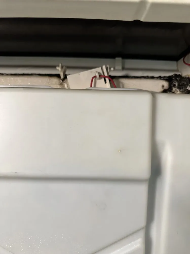 Slide of Emerald Ostel Mechanical