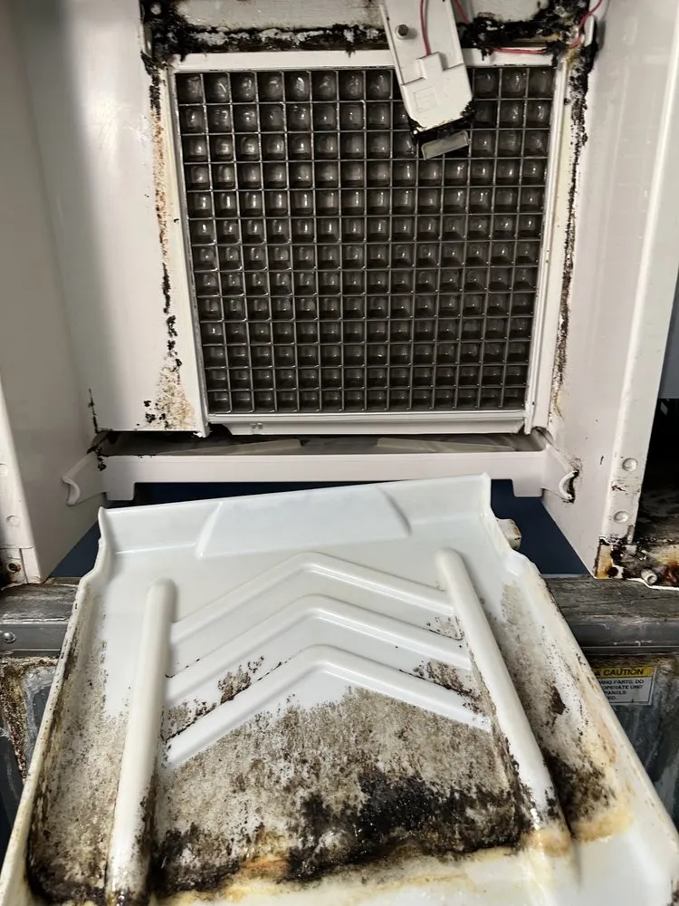 Slide of Emerald Ostel Mechanical