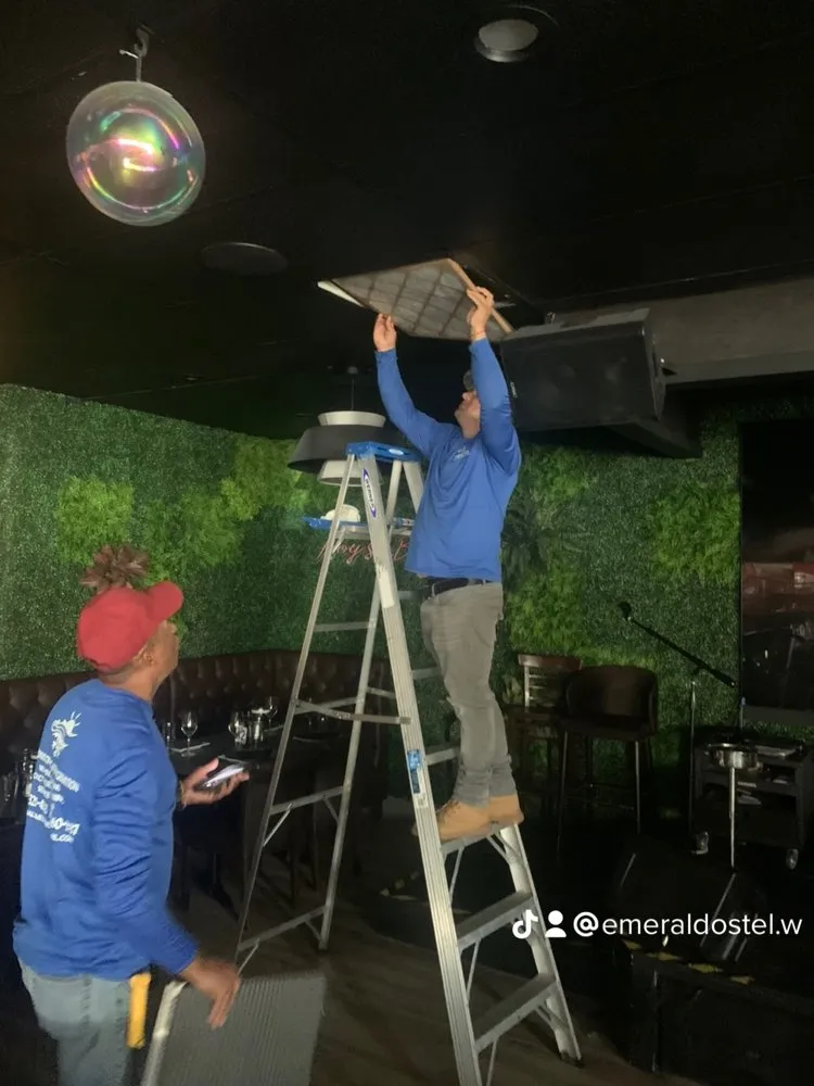 Slide of Emerald Ostel Mechanical