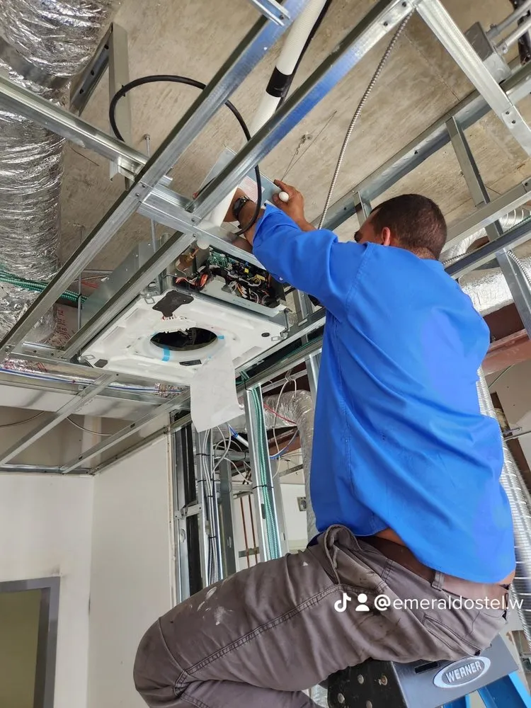 Slide of Emerald Ostel Mechanical